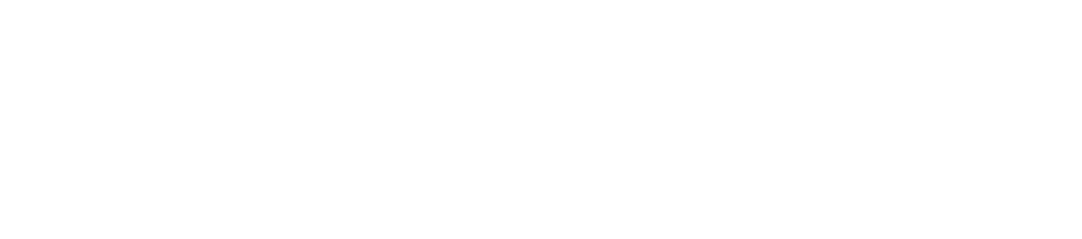 vils_stmath_logo